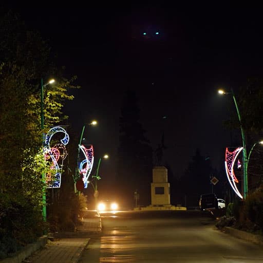 Siguranță publică